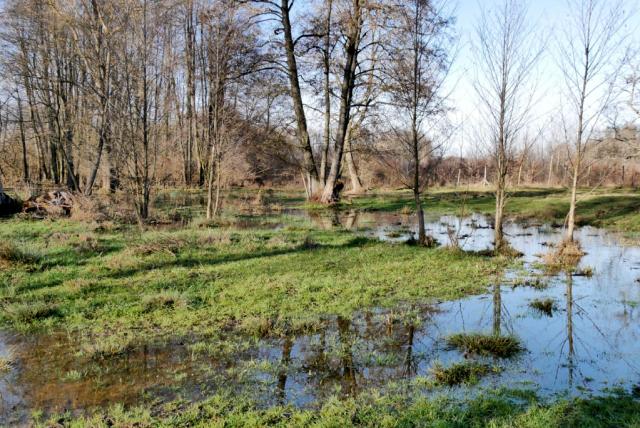 A Boronka-patak környezete tavasszal